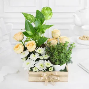 Green Babies & Floral Beauties Gift Tray